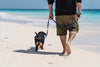 The Important Factors to Consider for a Leash