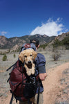 Dog Backpacks: Are They Worth Buying?