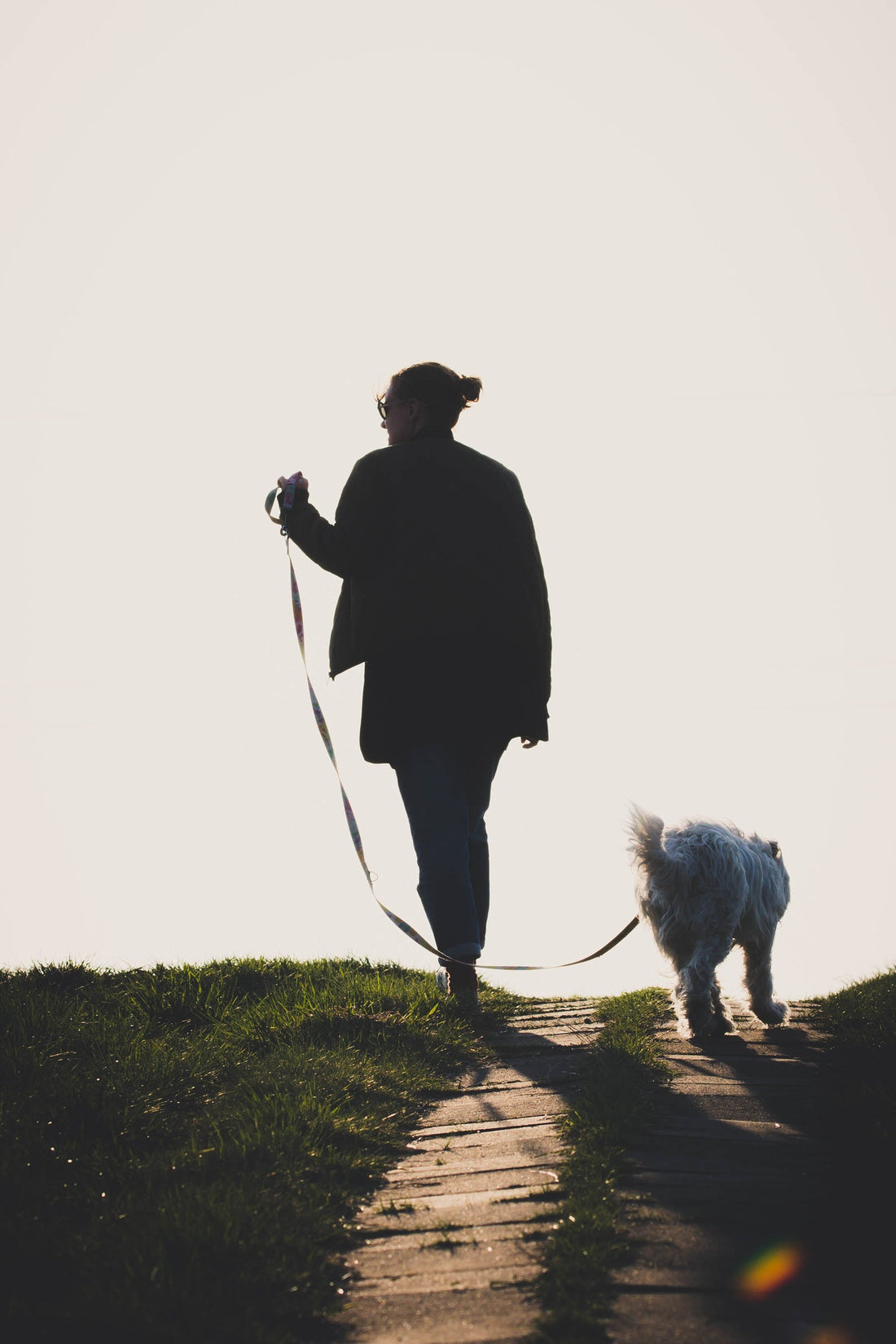 The Importance of Dog Leash Dog Owners Must Know