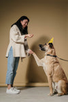 Dog Training Without Treats: Is it Possible?