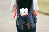 Backpack for Dogs: The Do's and Don'ts