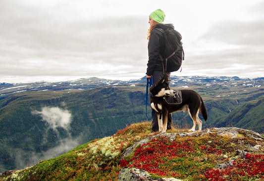 Hiking With Your Furry Buddy