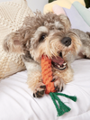 ArtemisPaw 10-Piece Tough Chewer Dog Toy Set