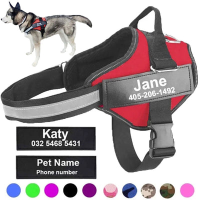 PERSONALIZED NO PULL DOG HARNESS SET