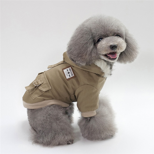 Chic & Cozy Dog Hoodie - Ultimate Warmth Meets Trendy Style