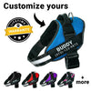 Customized NO PULL Dog Harness