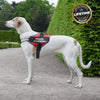 PERSONALIZED NO PULL DOG HARNESS